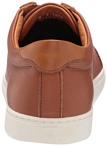 Men's Courtside Oxford