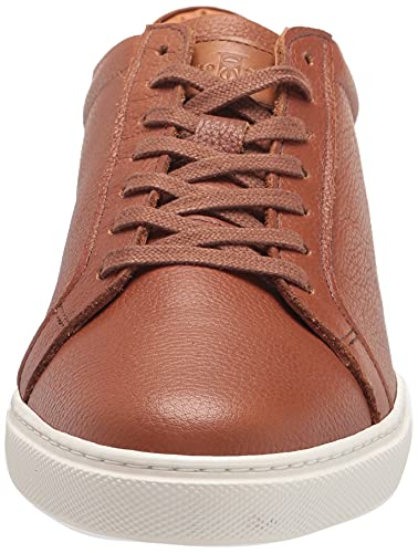Men's Courtside Oxford