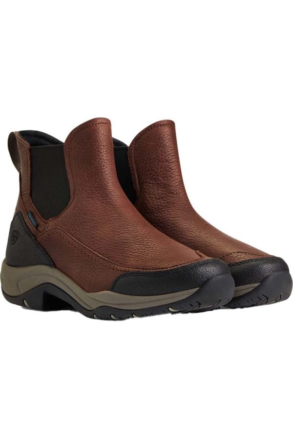 Women's Wms Terrain Blaze H2o Drk Brn