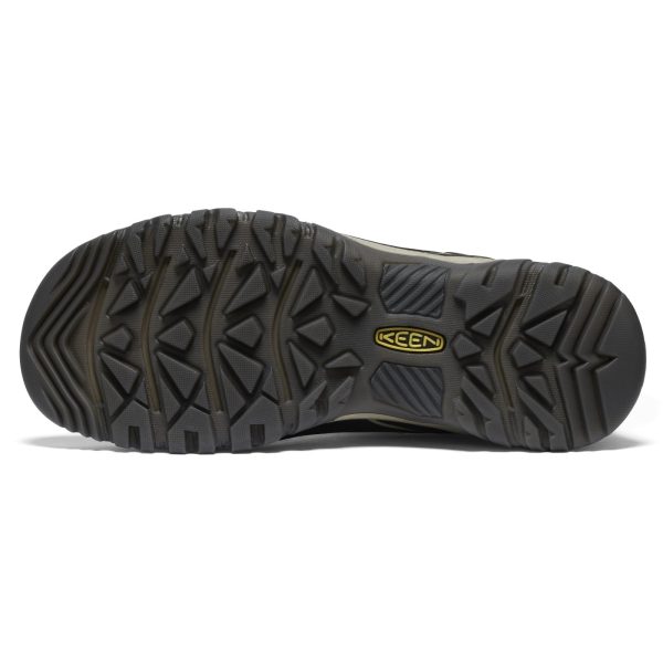Men's, Targhee IV Waterproof Hiking Shoe
