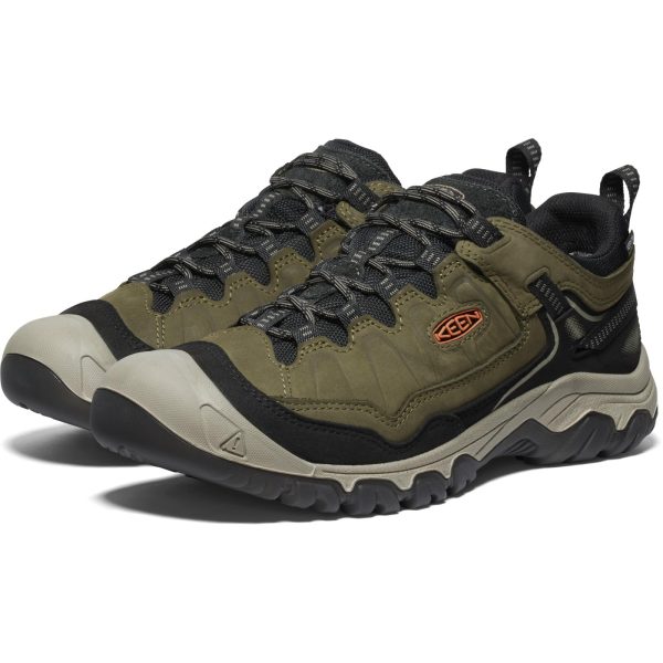 Men's, Targhee IV Waterproof Hiking Shoe