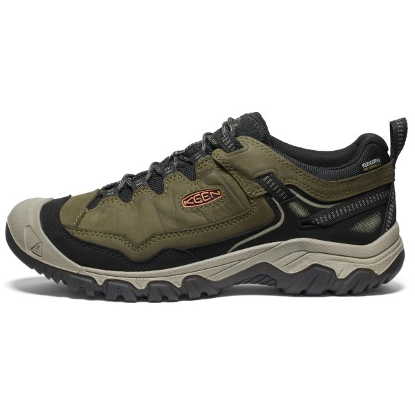 Men's, Targhee IV Waterproof Hiking Shoe