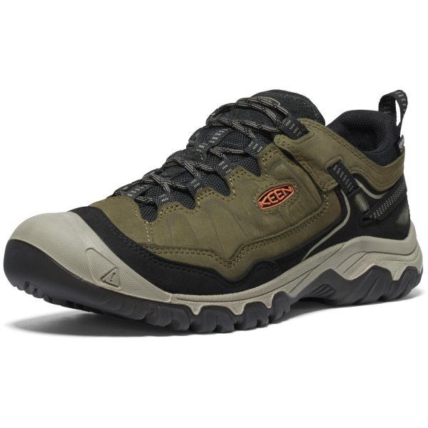 Men's, Targhee IV Waterproof Hiking Shoe